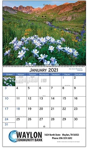 Americam Scenic 2021 Calendar