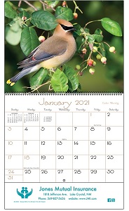 Backyard Birds 2021 Calendar