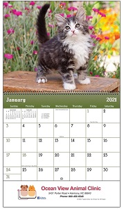 Puppies and Kittens 2021 Calendar